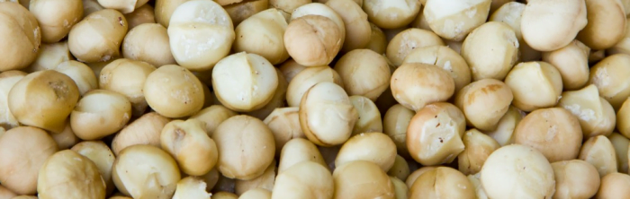 macadamia nuts malaysia