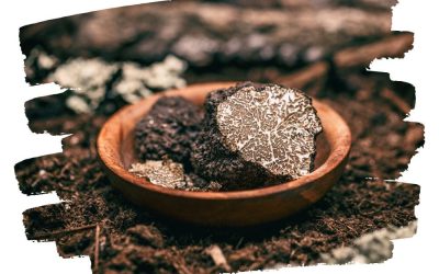 black-truffle-3-min