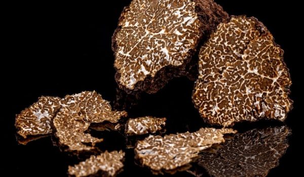 truffle-mushrooms-all-about-truffles-min